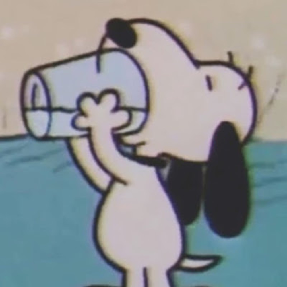 Meet your Posher, Yo ray